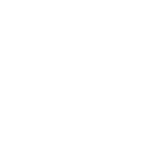 Pallet Bodega